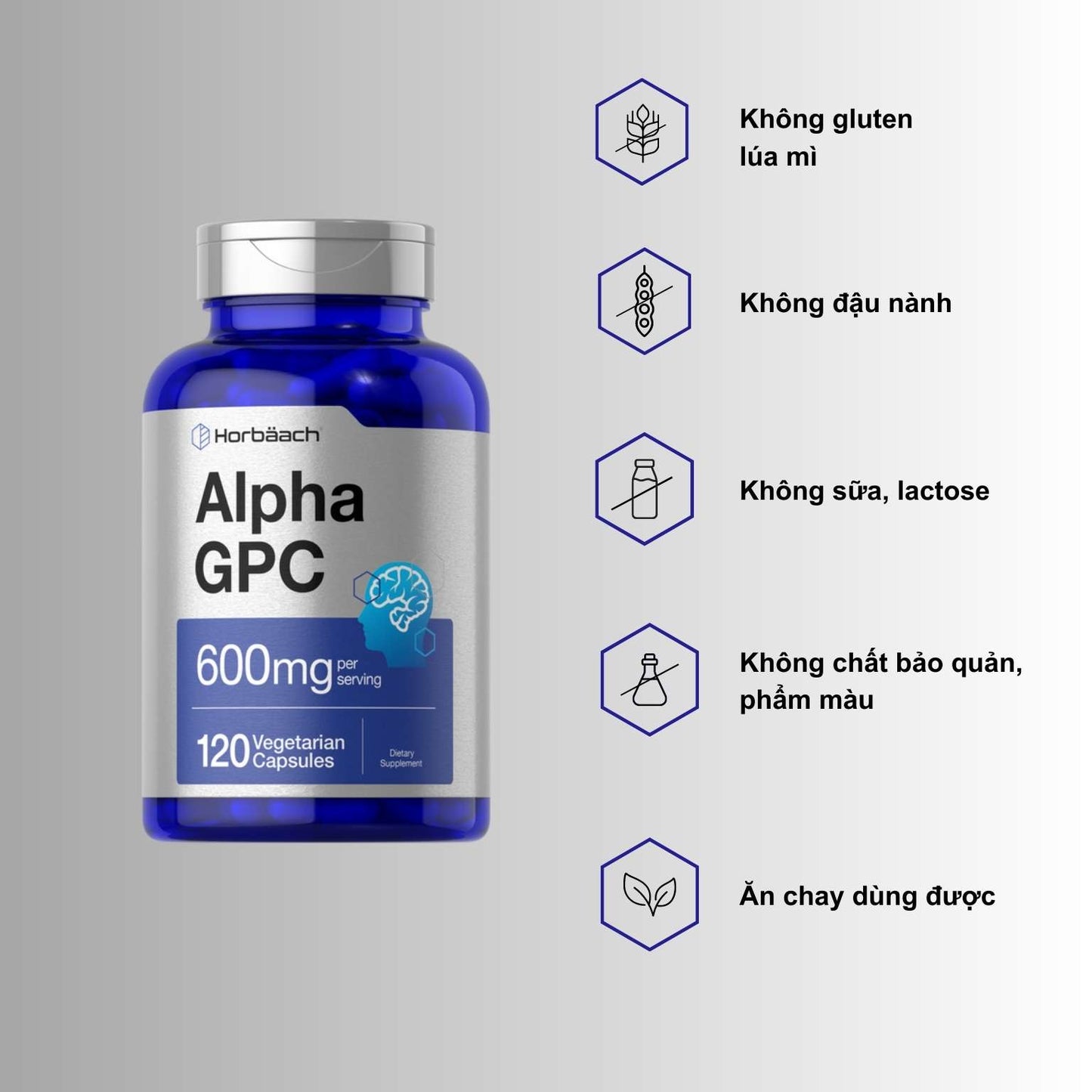 Alpha GPC 600mg | 120 viên