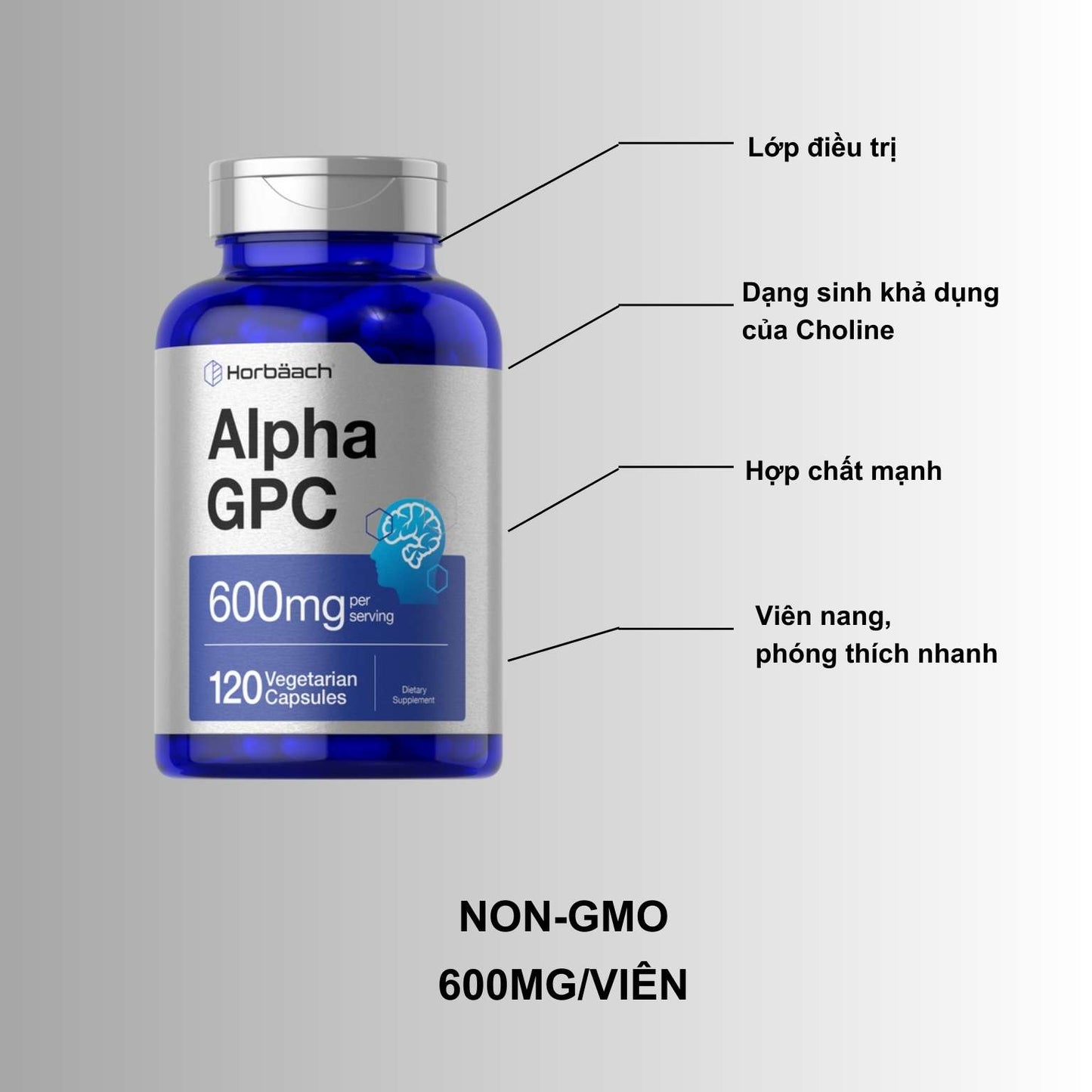 Alpha GPC 600mg | 120 viên