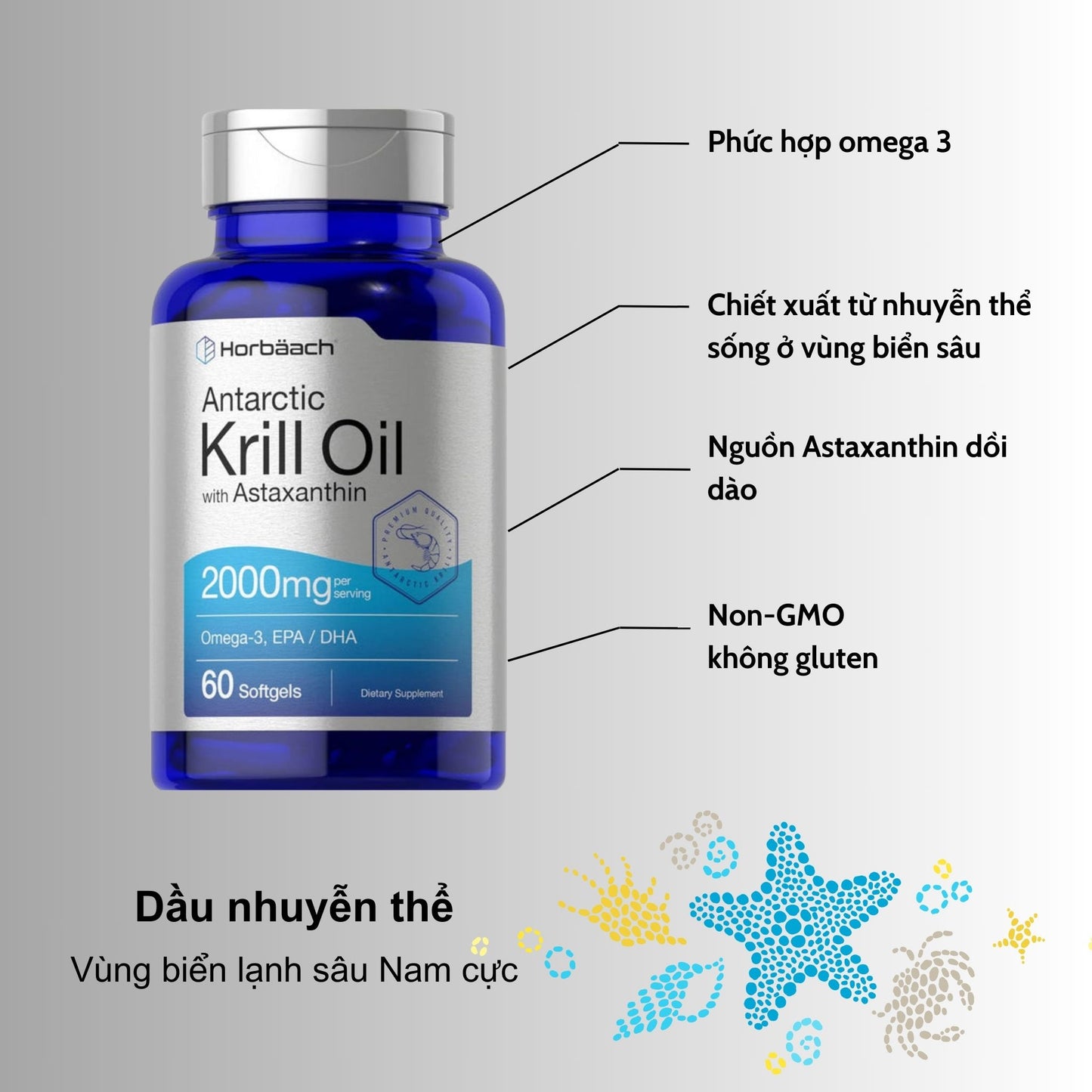 Dầu nhuyễn thể Krill Oil Omega 3 2000mg | 60 viên nang mềm