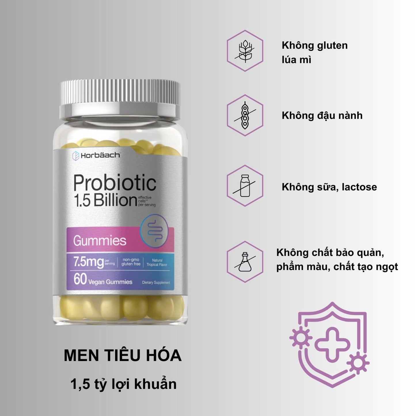 Probiotic | 1,5 tỉ lợi khuẩn| 60 viên kẹo dẻo