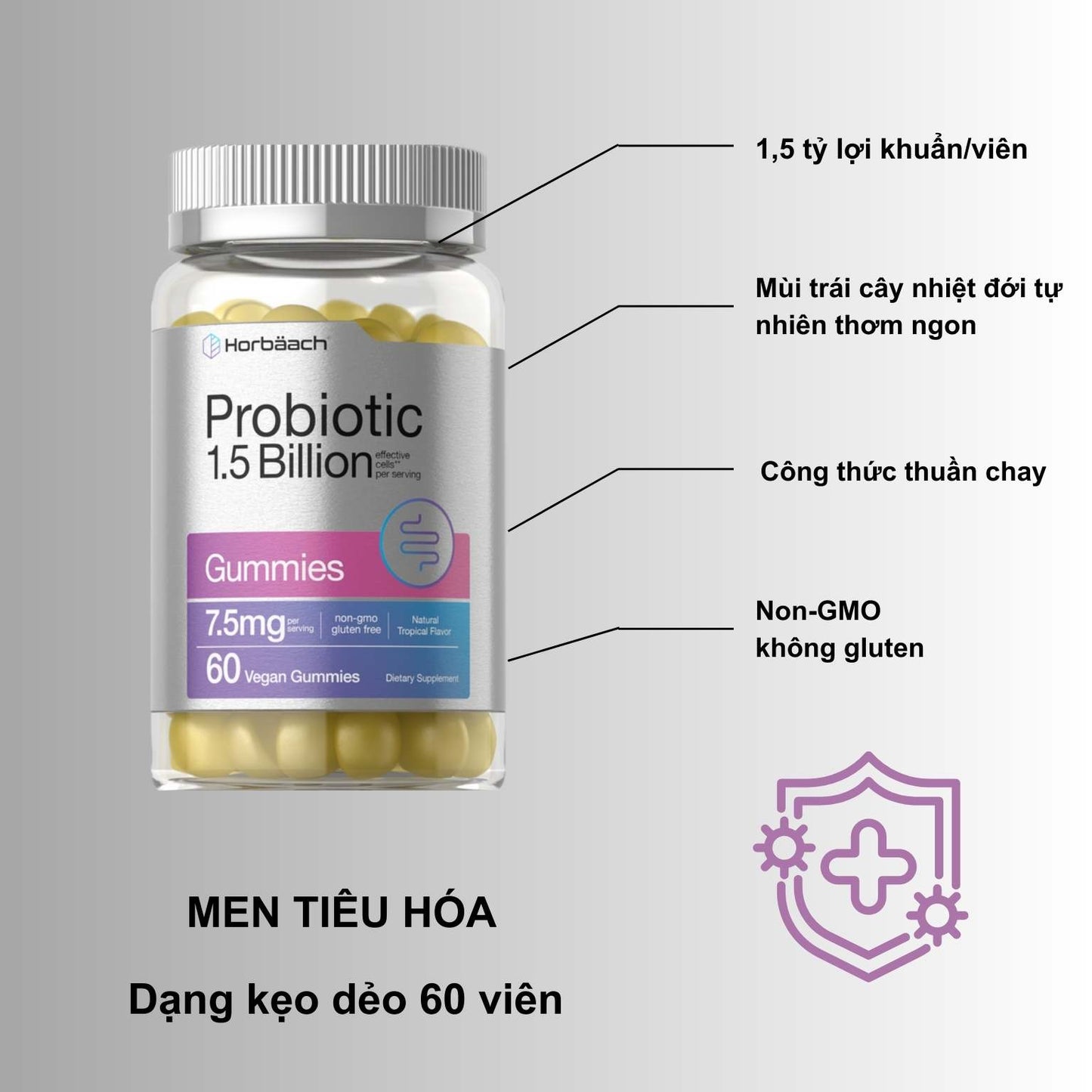 Probiotic | 1,5 tỉ lợi khuẩn| 60 viên kẹo dẻo