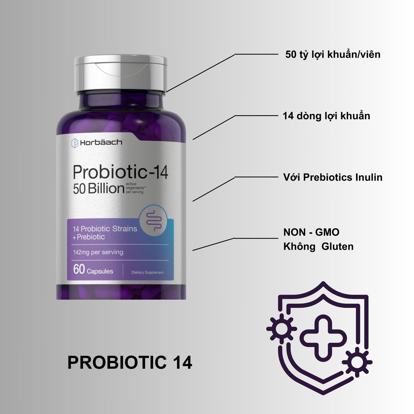 PROBIOTIC-14 50 tỷ CFU | với PREBIOTICS | 60 viên